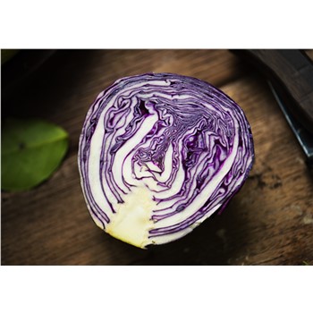 Cabbage Red - Organic
