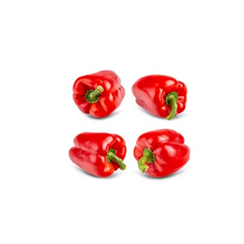 Capsicum Red