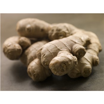 Ginger