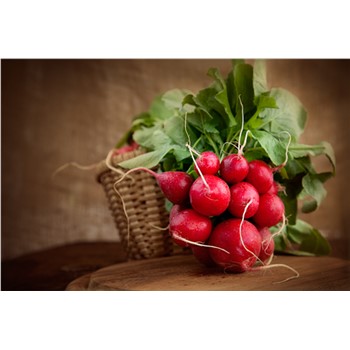 Radish bn