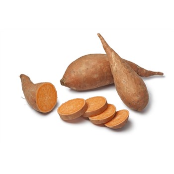Sweet Potato Gold - Organic