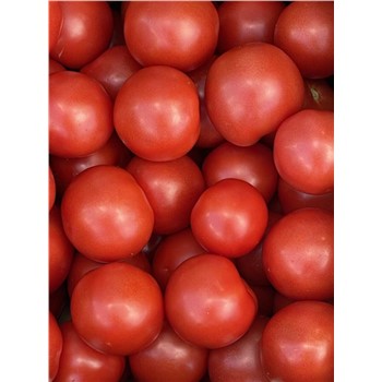 Tomato Round - Organic