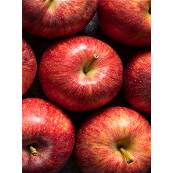 Apple Gala