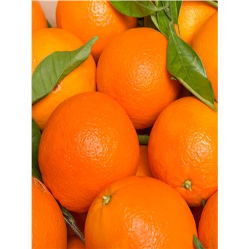 Orange Navel kg