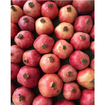 Pomegranate ea