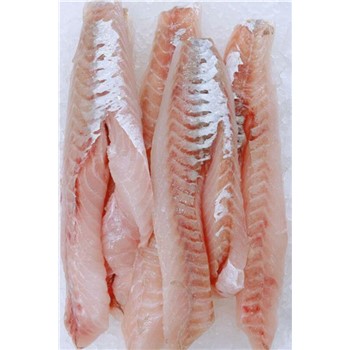 Gurnard NZ