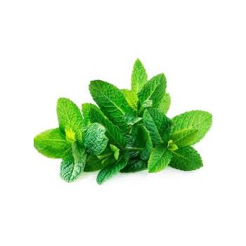Mint Bunch Organic
