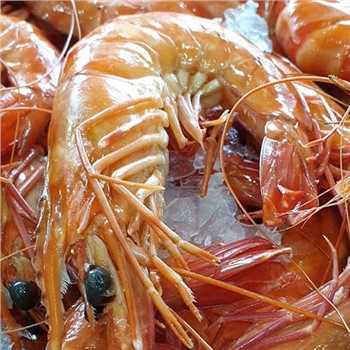Tiger Prawns Cooked FROZEN 3kg Box