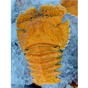 Balmain bugs per kg (~150g ea) - cooked